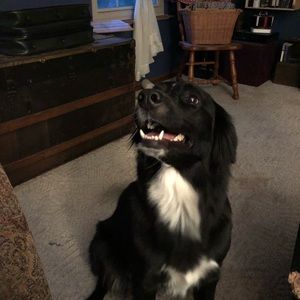 Meet your Posher, Kindra